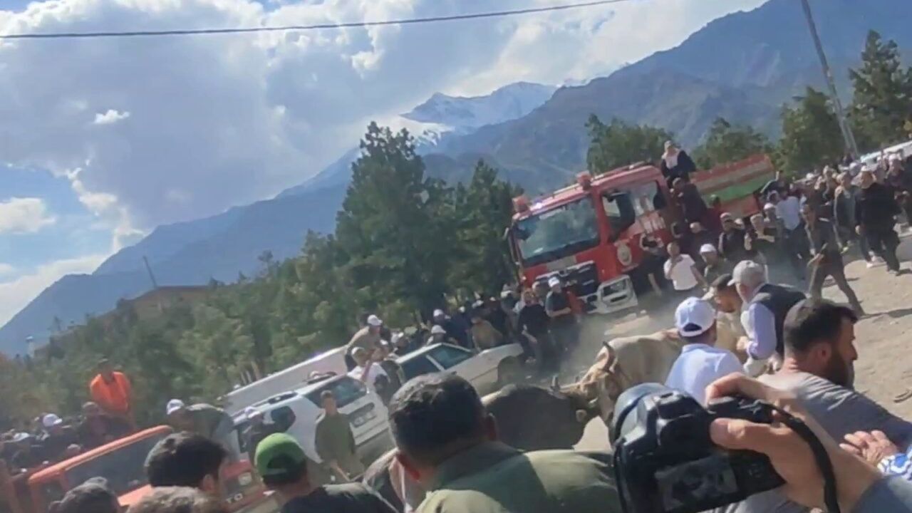 Boğa güreşlerinde panik dolu anlar