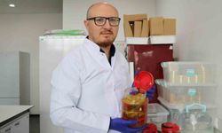 Geleneksel turşular bilime konu oldu