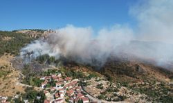 Tokat’ta Gıjgıj Tepesi'nde başlayan yangın, kısa sürede kontrol altına alındı