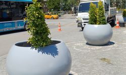 Tokat Belediyesi, Cumhuriyet Meydanı'ndaki kaldırım saksılarını değiştiriyor