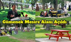 Tokat’ın yeşil cenneti Gümenek Mesire Alanı halkın hizmetinde