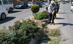 Tokat’ta Yeşil Alanlarda Ot Biçme ve Temizlik Çalışmaları Sürüyor