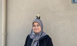 Papağan Duman, Tokatlı Ailenin Neşe Kaynağı Oldu