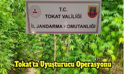 Tokat'ta Uyuşturucu Operasyonu