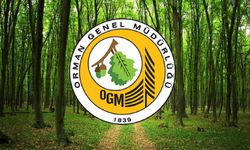Orman Genel Müdürlüğü Tokat’ta İşçi Alacak!