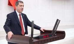 AK Parti Tokat Milletvekili Mustafa Arslan TBMM'de Konuştu