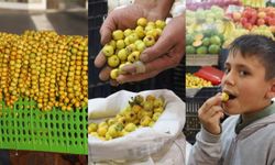 Tokat'ta 'Kalp Dostu' Alıç Meyvesi Tezgâhlardaki Yerini Aldı