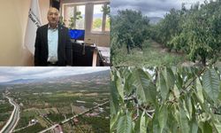 Tokat'ta don zararına karşı dayanıklı meyve türleri, çiftçiler için umut olacak