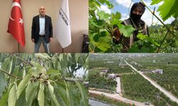 Prof. Dr. Gerçekcioğlu Don Riskine Karşı Örtü Altı Meyveciliği Önerdi