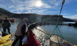 Almus’ta Üretilen Alabalıklar, Dünyaya İhraç Ediliyor