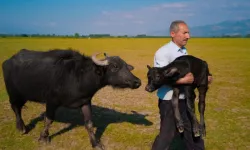 Tokatlı Fotoğrafçı Dünya İkincisi Oldu