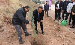 TOGÜ’de Fidanlar Toprakla Buluştu