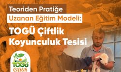 TOGÜ'lü Öğrenciler Çiftlikteki Uygulamalı Eğitimle Sektöre Hazırlanıyor