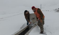 Tokat'ta eksi 10 derece çeşmeyi dondurdu