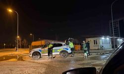 1.55 promil alkollü yakalanan ve 14 bin TL ceza kesilen sürücü, karakola köpeğiyle gitti