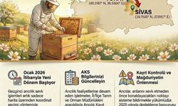 Tokat Tarım ve Orman İl Müdürlüğü’nden Arıcılara Önemli Duyuru