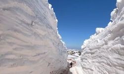 Tokat'ta kar duvarları yolu tünele çevirdi