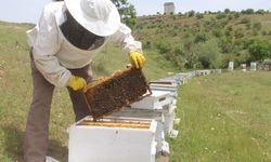 Tokatlı Arıcılar Destek Bekliyor