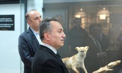 TOGÜ Biyoçeşitlilik Müzesi Yakında Açılıyor