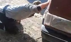 Tokat'ta aracın motor kısmına giren yılanı itfaiye ekipleri kürekle yakaladı