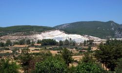TEMA Vakfı’ndan 5 Haziran Dünya Çevre Günü Mesajı