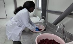 TOGÜ Çiftlik Tarım Ürünleri Kurutma Tesisi üretim ve eğitimi bir araya getiriyor