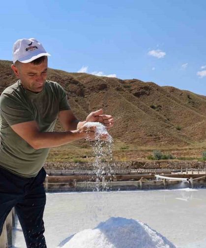 Beyaz altın hasadı başladı