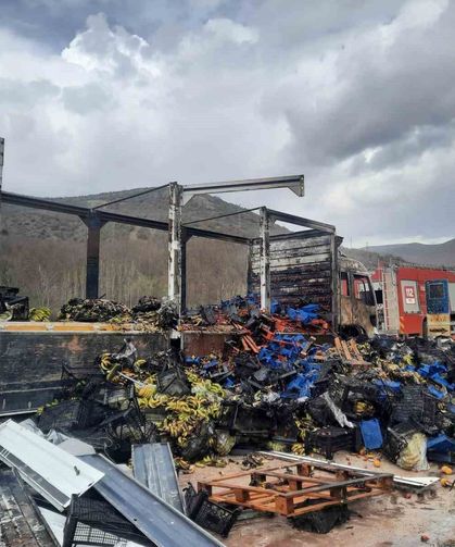 Tokat'ta çilek yüklü kamyon yandı