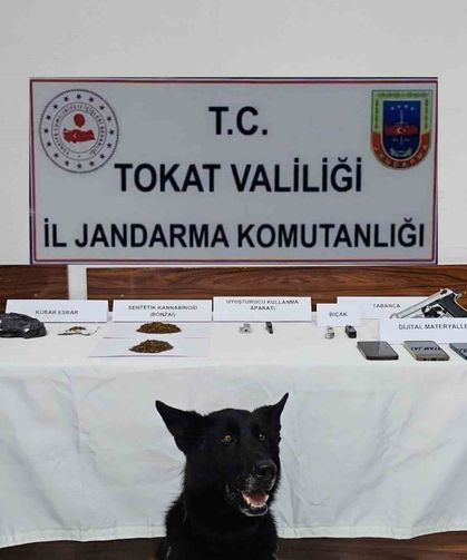 Tokat'ta jandarmadan zehir tacirlerine operasyon: 5 gözaltı