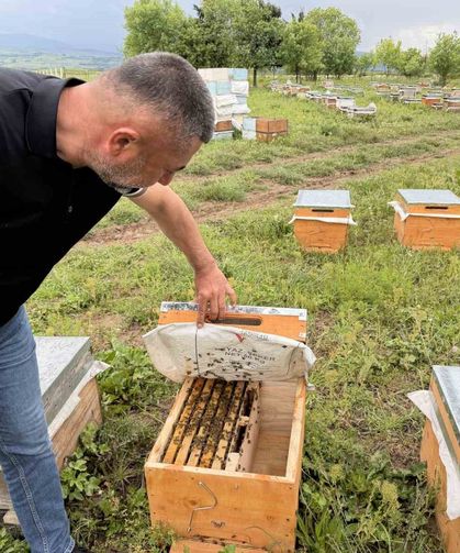 Sel ve soğuk arasında kalan gezgin arıcı: 'Ne gidebiliyoruz, ne kalabiliyoruz'