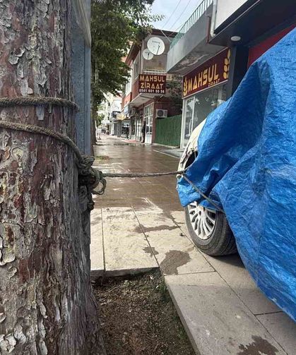 Turhal'da taşkın korkusuyla vatandaş otomobilini ağaca bağladı