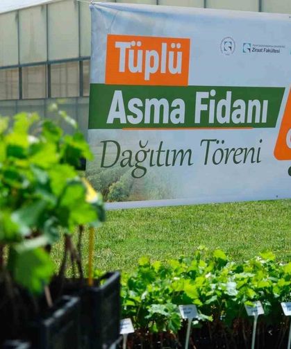 TOGÜ'den üreticiye bağcılık desteği