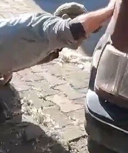 Tokat'ta aracın motor kısmına giren yılanı itfaiye ekipleri kürekle yakaladı