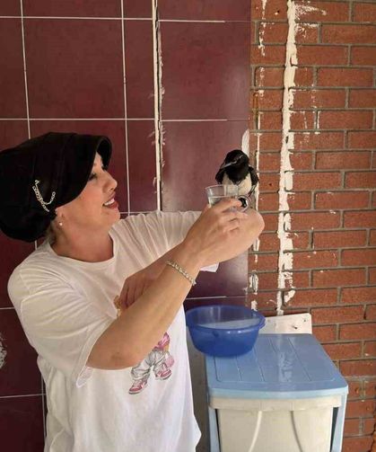 Yaralı bulduğu yavru saksağan kahvaltı arkadaşı oldu
