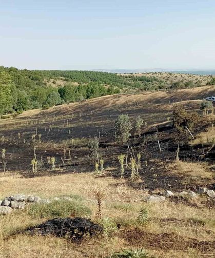 Tokat'ta örtü yangını: 15 dönüm ekili arazi küle döndü