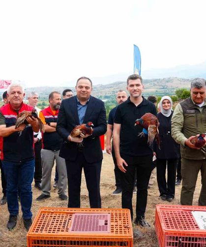 Erbaa Belediyesi'nden keneyle mücadeleye halkalı sülün ve kekliklerle destek