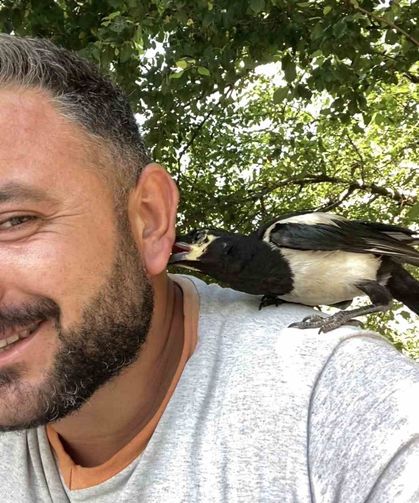 Perişan ismini verdiği saksağanı omuzundan indirmiyor