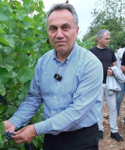 TOGÜ bağlarında sezonun ilk üzüm hasadı yapıldı