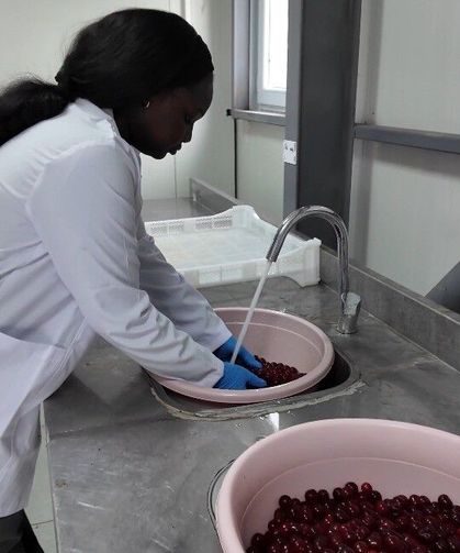 TOGÜ Çiftlik Tarım Ürünleri Kurutma Tesisi üretim ve eğitimi bir araya getiriyor