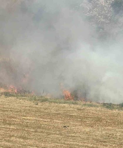 Tokat'ta otluk alandaki yangın büyümeden söndürüldü