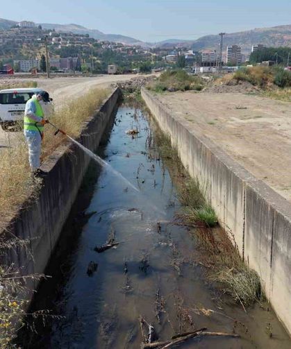 Tokat'ta sivrisinek ve haşerelere karşı kapsamlı ilaçlama seferberliği