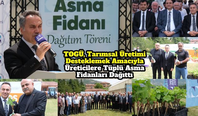 TOGÜ, Tarımsal Üretimi Desteklemek Amacıyla Üreticilere Tüplü Asma Fidanları Dağıttı