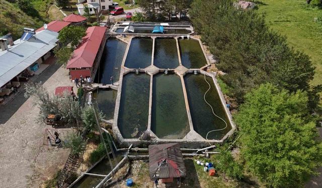 Denize kıyısı olmayan Sivas’ta üretilen balıklar dünyaya pazarlanıyor