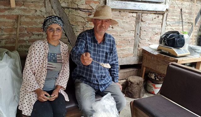 İstanbul’dan memlekete dönen iki kardeş, 10 dönümlük arazide salep bitkisi yetiştiriyor