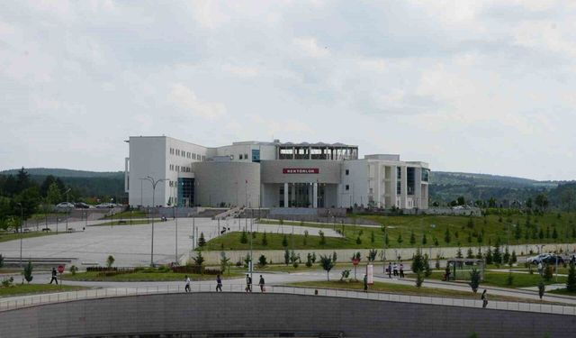 Kastamonu Üniversitesi, Times Higher Education etki sıralamasında yer aldı