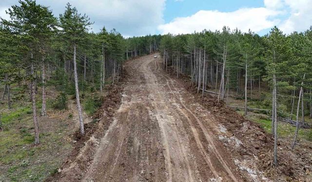 Kastamonu’da ormanları yangınlardan korumak için emniyet yolu çalışmaları sürüyor