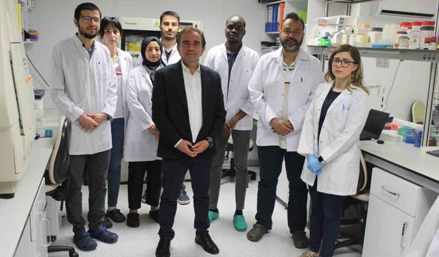 KKKA aşısında sona doğru: İnsan üzerinde çalışmalar başlayacak