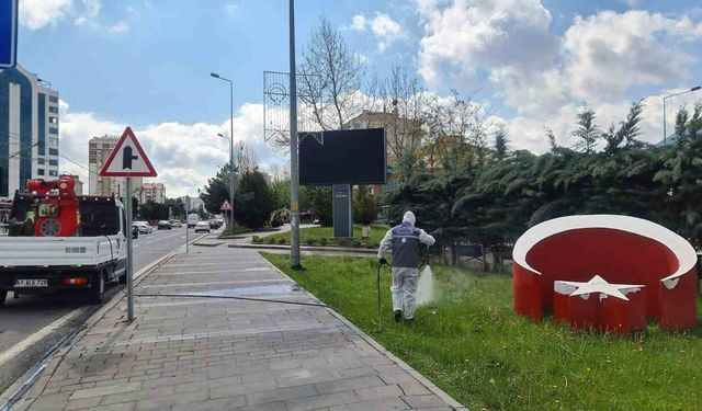 Talas’ta yaz boyunca haşereyle mücadele devam ediyor