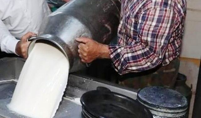 Ticari süt işletmelerince 981 bin 10 ton inek sütü toplandı