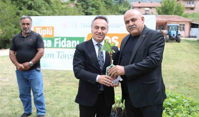 TOGÜ tüplü asma fidanlarını üreticiyle buluşturdu